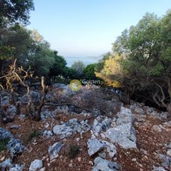 Αγροτεμάχια 7.313 τ.μ. πρός πώληση, Ν. Λευκάδας, Μεγανήσι-thumb-6