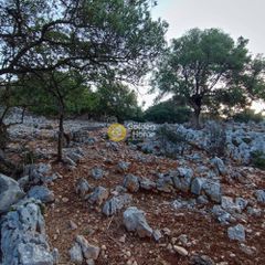 Αγροτεμάχια 7.313 τ.μ. πρός πώληση, Ν. Λευκάδας, Μεγανήσι-thumb-10