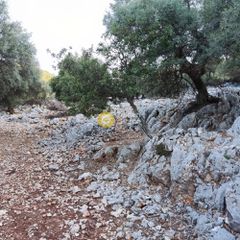 Αγροτεμάχια 7.313 τ.μ. πρός πώληση, Ν. Λευκάδας, Μεγανήσι-thumb-12