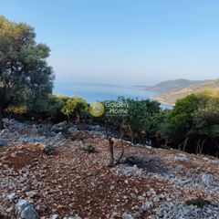 Αγροτεμάχια 7.313 τ.μ. πρός πώληση, Ν. Λευκάδας, Μεγανήσι-thumb-9