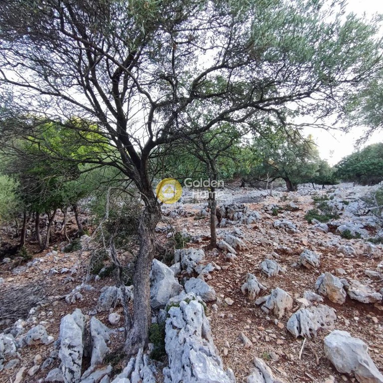 Αγροτεμάχια 7.313 τ.μ. πρός πώληση, Ν. Λευκάδας, Μεγανήσι