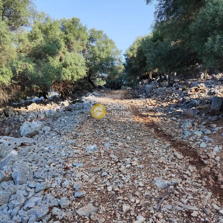Αγροτεμάχια 7.313 τ.μ. πρός πώληση, Ν. Λευκάδας, Μεγανήσι