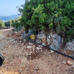 Αγροτεμάχια 7.313 τ.μ. πρός πώληση, Ν. Λευκάδας, Μεγανήσι-thumb-7