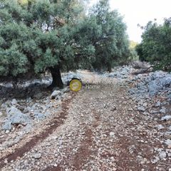 Αγροτεμάχια 7.313 τ.μ. πρός πώληση, Ν. Λευκάδας, Μεγανήσι-thumb-17