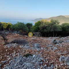 Αγροτεμάχια 7.313 τ.μ. πρός πώληση, Ν. Λευκάδας, Μεγανήσι-thumb-19