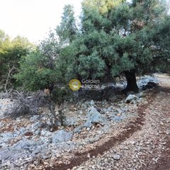 Αγροτεμάχια 7.313 τ.μ. πρός πώληση, Ν. Λευκάδας, Μεγανήσι-thumb-11