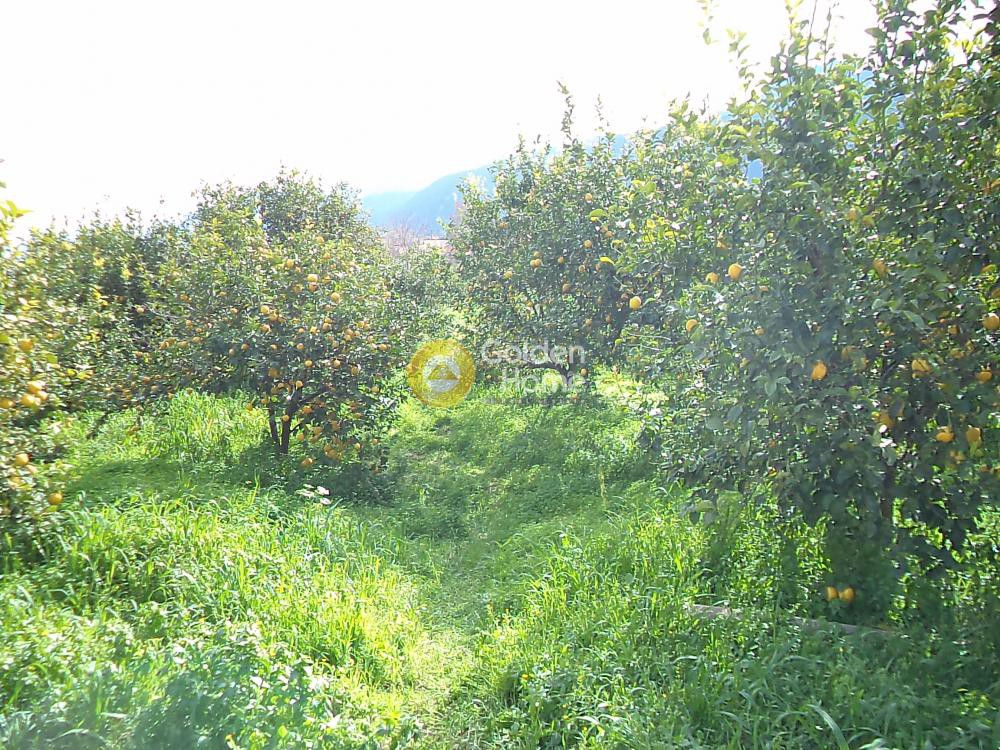 Οικόπεδο 740 τ.μ. προς πώληση, Αχαΐα, Αίγιο