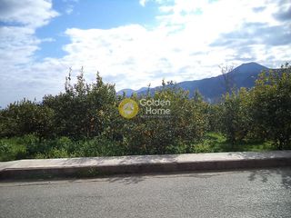Οικόπεδο 740 τ.μ. πρός πώληση, Αχαΐα, Αίγιο-thumb-1