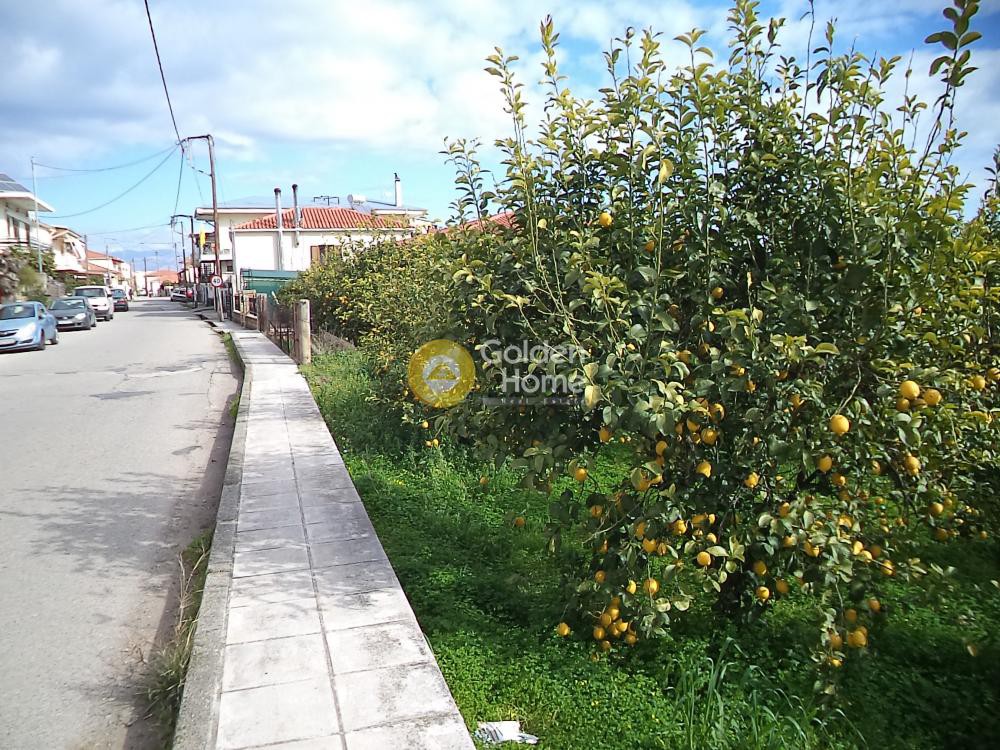 Οικόπεδο 740 τ.μ. προς πώληση, Αχαΐα, Αίγιο