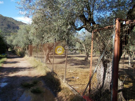 Parcel 4.378 sqm for sale, Achaia, Aigio