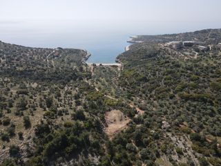 Αγροτεμάχια 7.119 τ.μ. για πώληση, Ν. Καβάλας, Θάσος-thumb-4