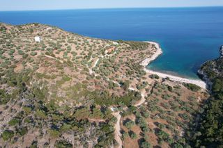 Αγροτεμάχια 7.119 τ.μ. για πώληση, Ν. Καβάλας, Θάσος-thumb-2