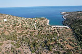 Αγροτεμάχια 7.119 τ.μ. για πώληση, Ν. Καβάλας, Θάσος-thumb-1