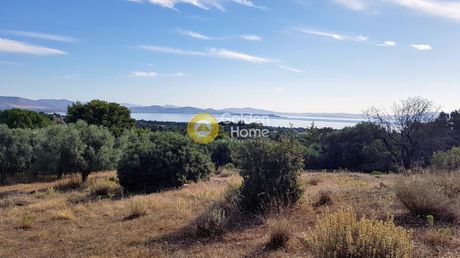 Οικόπεδο 13.767 τ.μ. για πώληση