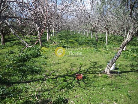 Parcel 4.007sqm for sale-Aigio » Digeliotika