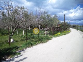 Αγροτεμάχια 4.007 τ.μ. πρός πώληση, Αχαΐα, Αίγιο-thumb-2