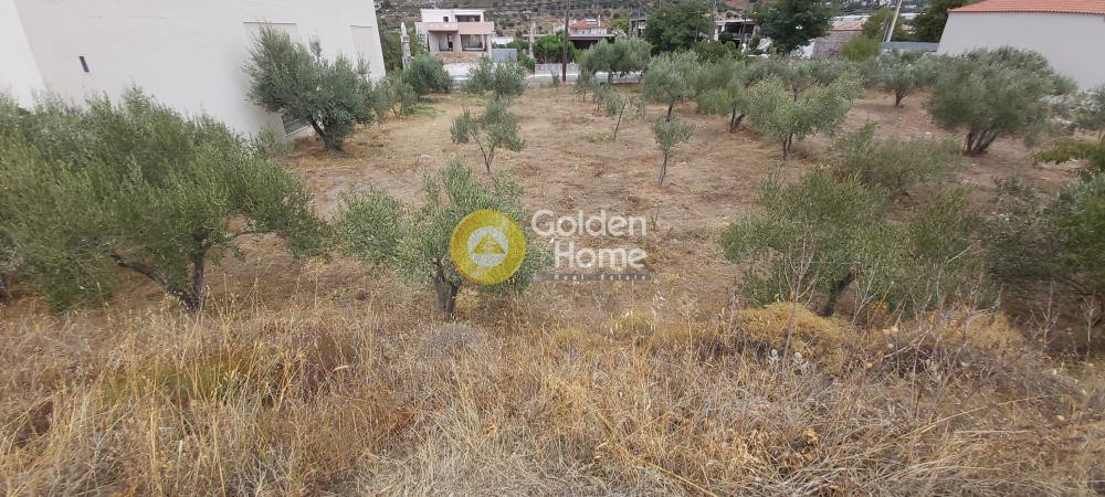 Οικόπεδο 774 τ.μ. προς ενοικίαση, Αττική - Υπόλοιπο, Καλύβια Θορικού