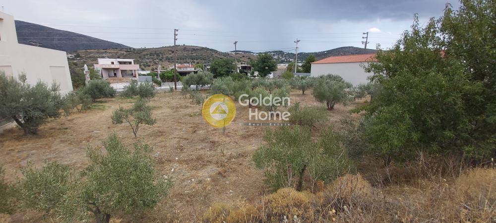 Οικόπεδο 774 τ.μ. προς ενοικίαση, Αττική - Υπόλοιπο, Καλύβια Θορικού