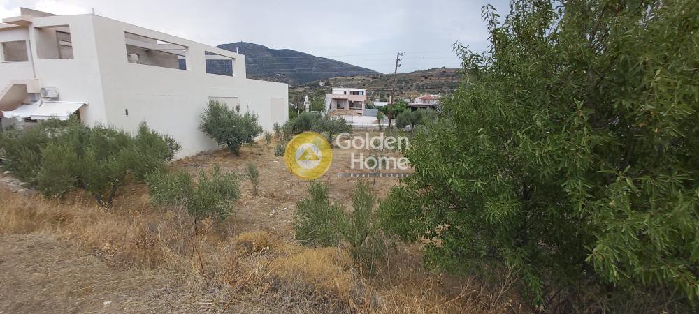 Οικόπεδο 774 τ.μ. προς ενοικίαση, Αττική - Υπόλοιπο, Καλύβια Θορικού