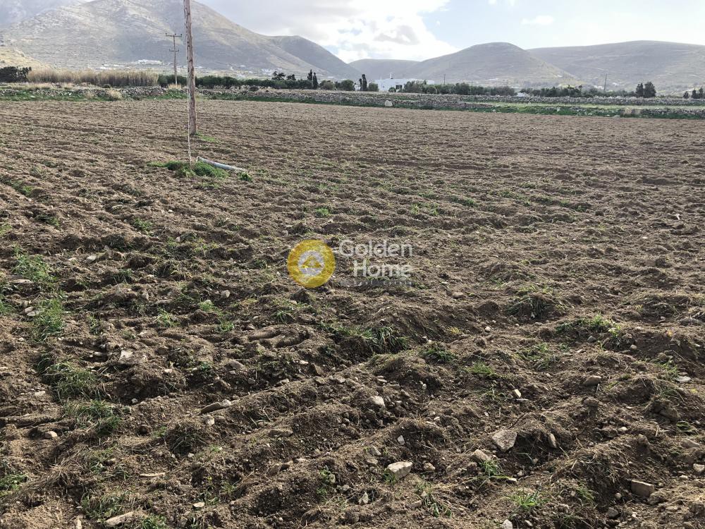 Αγροτεμάχια 5.000 τ.μ. προς πώληση, Κυκλάδες, Πάρος