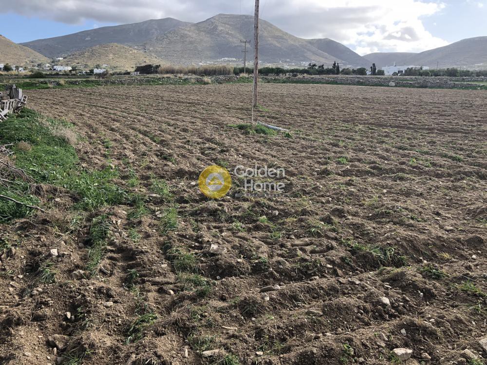 Αγροτεμάχια 5.000 τ.μ. προς πώληση, Κυκλάδες, Πάρος