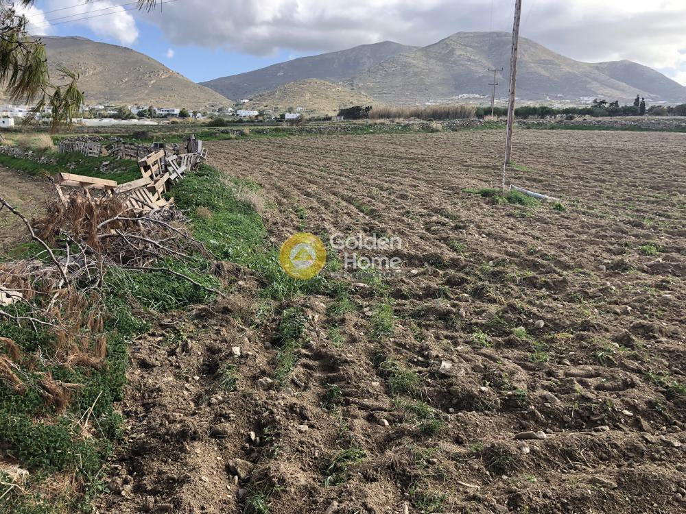 Αγροτεμάχια 5.000 τ.μ. προς πώληση, Κυκλάδες, Πάρος