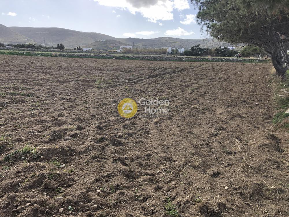 Αγροτεμάχια 5.000 τ.μ. προς πώληση, Κυκλάδες, Πάρος