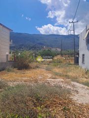 Οικόπεδο 300 τ.μ. πρός πώληση, Κορινθία, Ευρωστίνη-thumb-1
