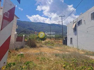 Οικόπεδο 300 τ.μ. πρός πώληση, Κορινθία, Ευρωστίνη-thumb-2