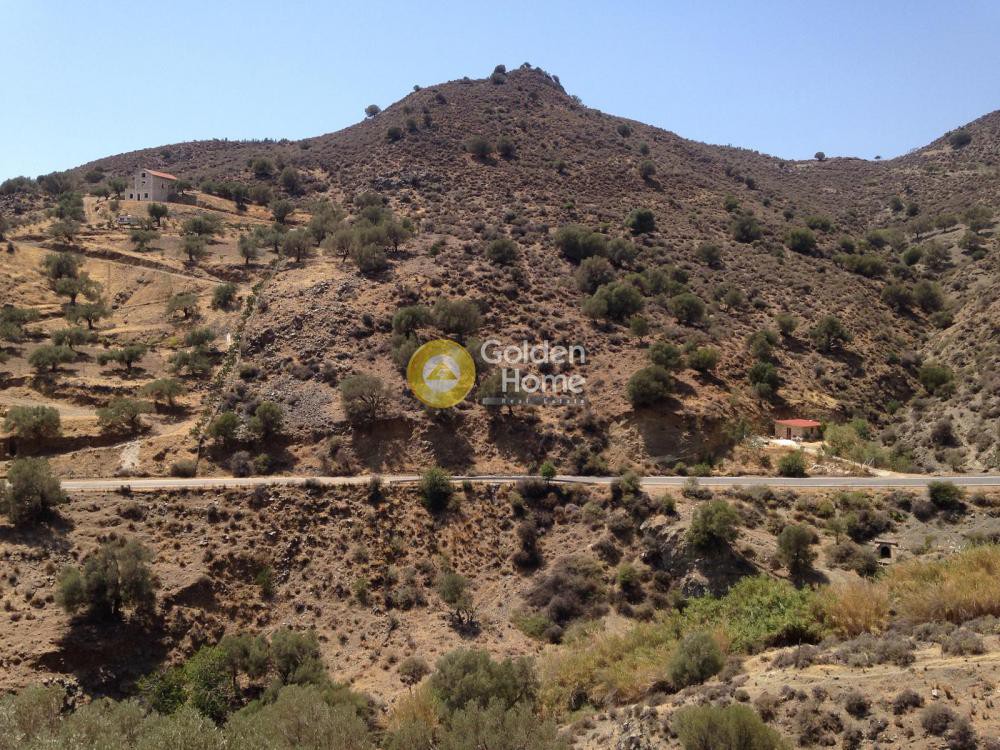 Οικόπεδο 12.000 τ.μ. πρός πώληση, Ν. Ηρακλείου, Γορτύνα