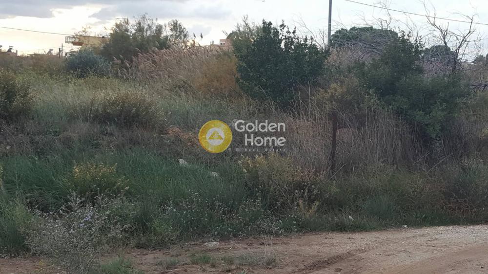 Οικόπεδο 908 τ.μ. πρός πώληση, Αθήνα - Ανατολικά Προάστια, Αρτέμιδα (λούτσα)