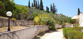 Μονοκατοικία 271 τ.μ. προς πώληση, Εξώστης-thumb-28