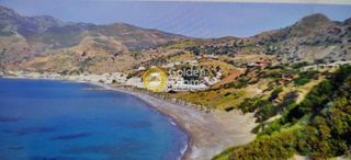 Αγροτεμάχια 3.543 τ.μ. για πώληση