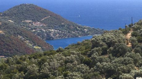 Αγροτεμάχια 4.456 τ.μ. για πώληση