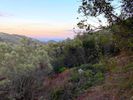 Parcel 4.456sqm for sale-Lefkada » Apollonio