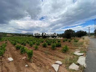 Αγροτεμάχια 1.700 τ.μ. προς πώληση