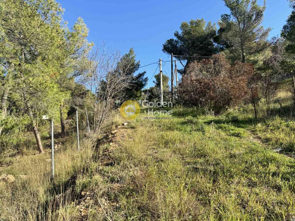 Οικόπεδο 280 τ.μ. πρός πώληση, Αθήνα - Ανατολικά Προάστια, Ανθούσα