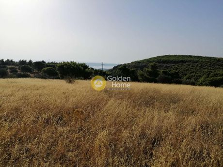 Αγροτεμάχια 18.939 τ.μ. για πώληση