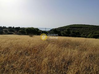 Αγροτεμάχια 18.939 τ.μ. για πώληση