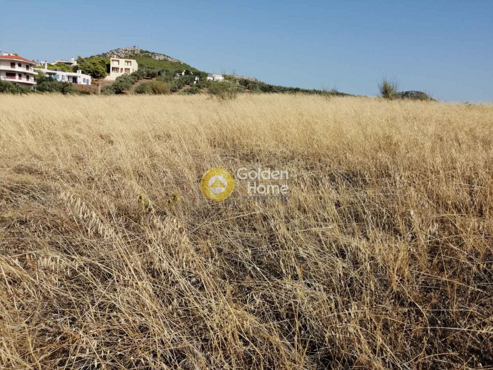 Αγροτεμάχια 18.939 τ.μ. προς πώληση, Μαρκάτι