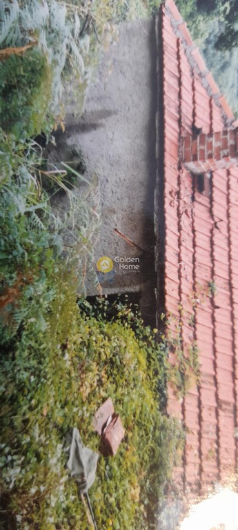 Μονοκατοικία 74 τ.μ. πρός πώληση, Μαγνησία, Μούρεσι