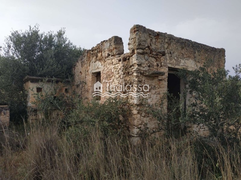Αγροτεμάχια 11.885 τ.μ. προς πώληση, Πάκια