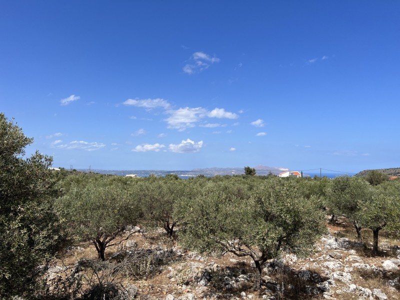 Οικόπεδο 4.673 τ.μ. πρός πώληση, Ν. Χανίων, Βάμος