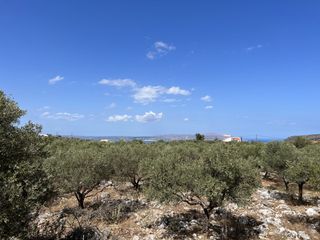 Οικόπεδο 4.673 τ.μ. για πώληση