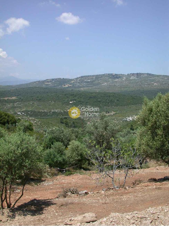 Οικόπεδο 6.800 τ.μ. πρός πώληση, Αθήνα - Ανατολικά Προάστια, Μαραθώνας