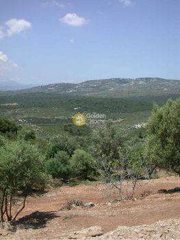 Οικόπεδο 6.800τ.μ. για πώληση-Μαραθώνας » Άνω σούλι