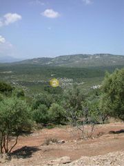 Οικόπεδο 6.800 τ.μ. για πώληση