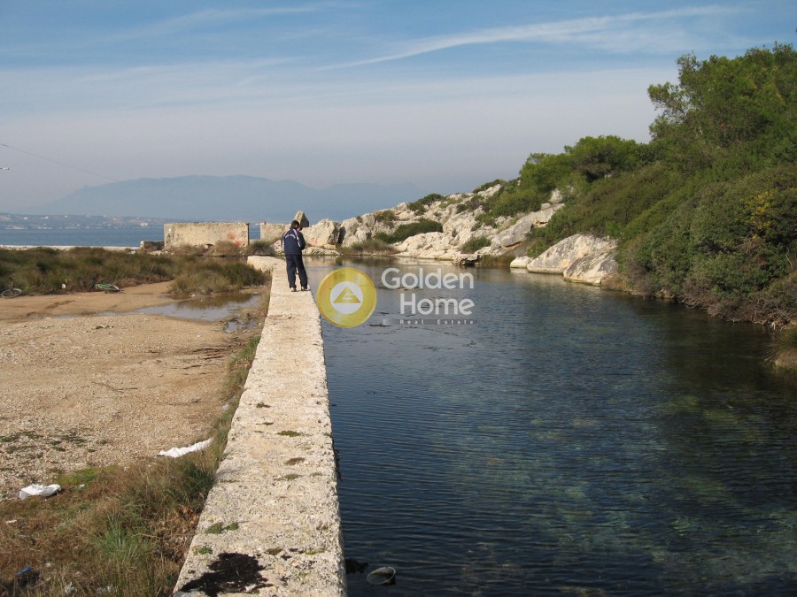 Οικόπεδο 170.000 τ.μ. προς πώληση, Άνω Αλμυρή