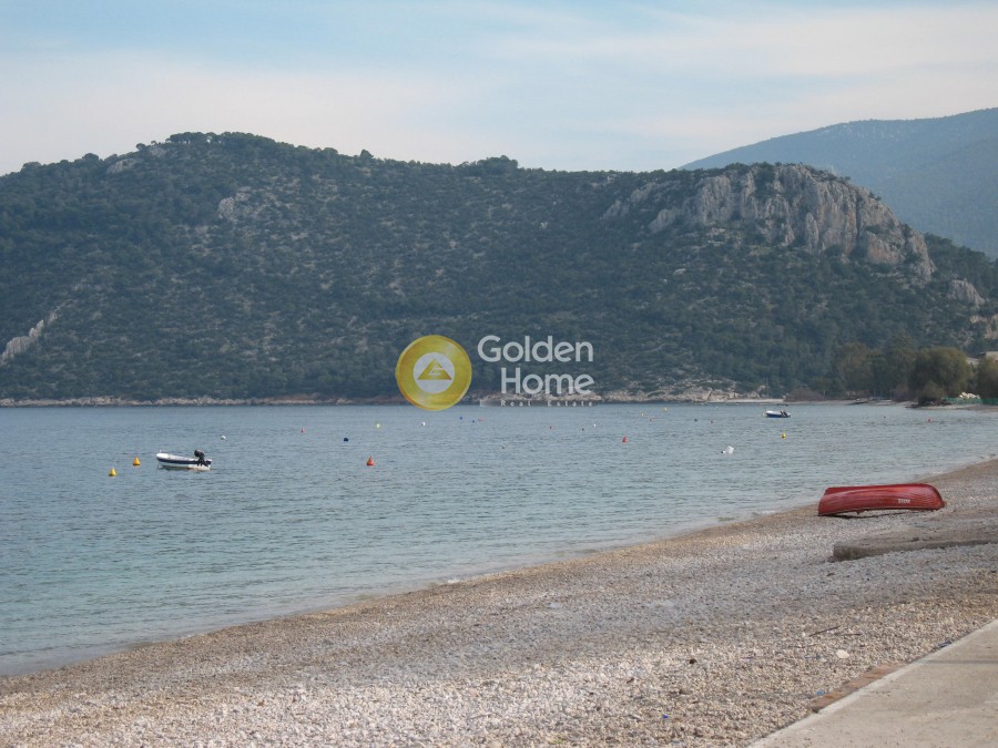 Οικόπεδο 170.000 τ.μ. προς πώληση, Άνω Αλμυρή