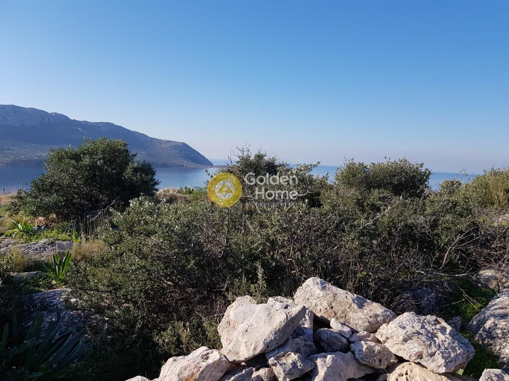 Αγροτεμάχια 1.400 τ.μ. προς πώληση, Χάρακας Κερατέας